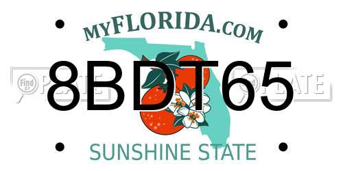 8BDT65 Florida License Plate