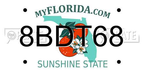 8BDT68 Florida License Plate