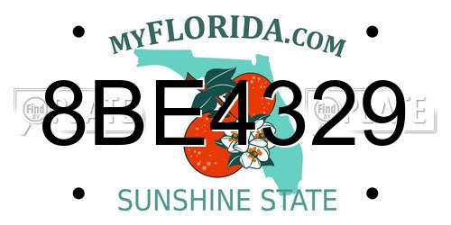 8BE4329 Florida License Plate