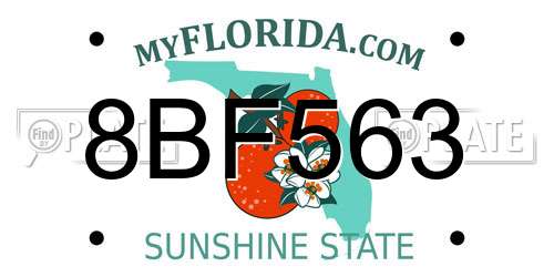 8BF563 Florida License Plate