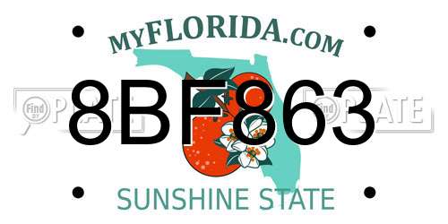 8BF863 Florida License Plate