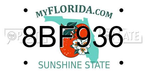 8BF936 Florida License Plate