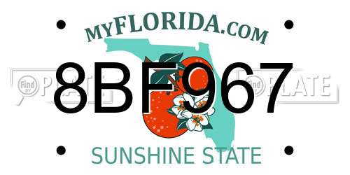 8BF967 Florida License Plate