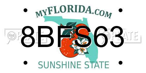 8BFS63 Florida License Plate