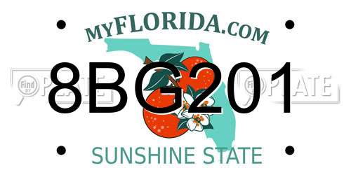 8BG201 Florida License Plate