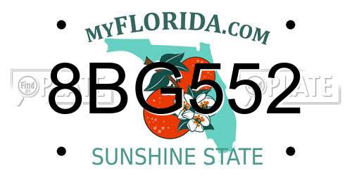 8BG552 Florida License Plate