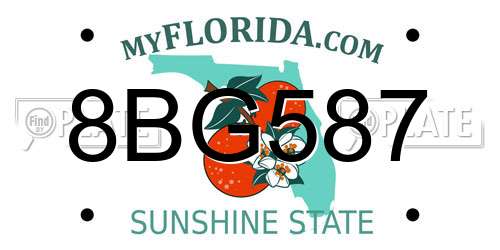 8BG587 Florida License Plate