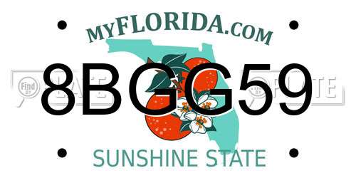 8BGG59 Florida License Plate