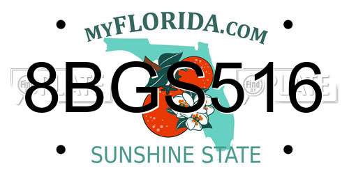 8BGS516 Florida License Plate
