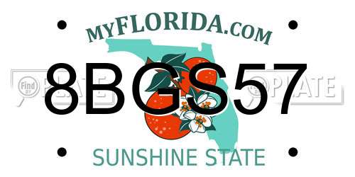 8BGS57 Florida License Plate