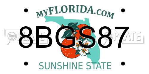 8BGS87 Florida License Plate