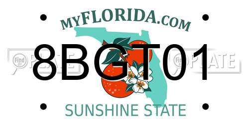 8BGT01 Florida License Plate