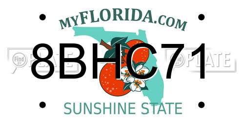8BHC71 Florida License Plate