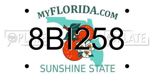 8BI258 Florida License Plate