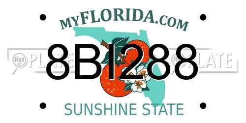 8BI288 Florida License Plate