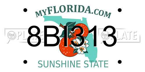 8BI313 Florida License Plate