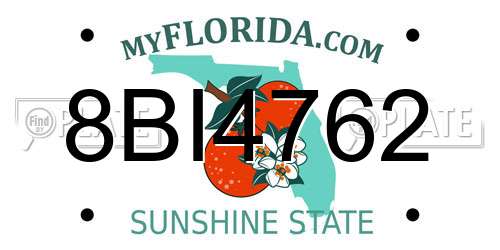 8BI4762 Florida License Plate