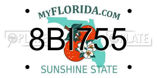8BI755 Florida License Plate