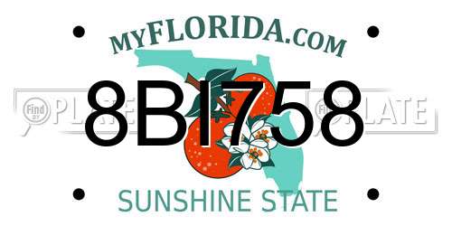 8BI758 Florida License Plate