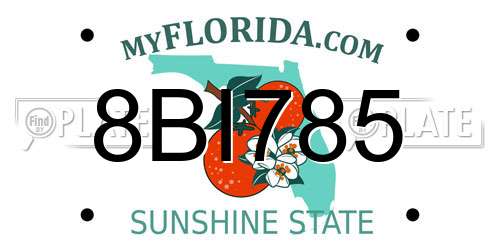 8BI785 Florida License Plate