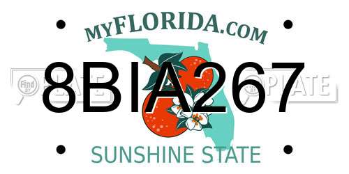 8BIA267 Florida License Plate
