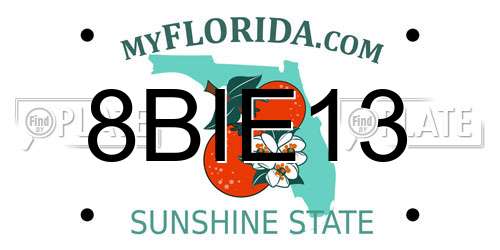 8BIE13 Florida License Plate