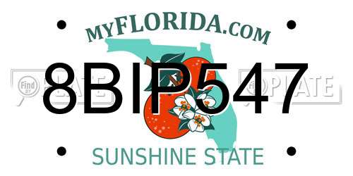 8BIP547 Florida License Plate