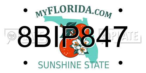 8BIP847 Florida License Plate