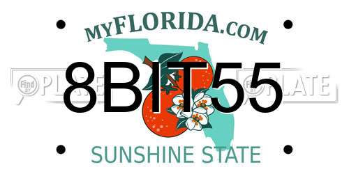 8BIT55 Florida License Plate
