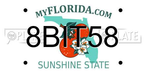 8BIT58 Florida License Plate