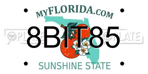 8BIT85 Florida License Plate