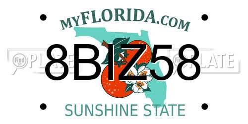 8BIZ58 Florida License Plate