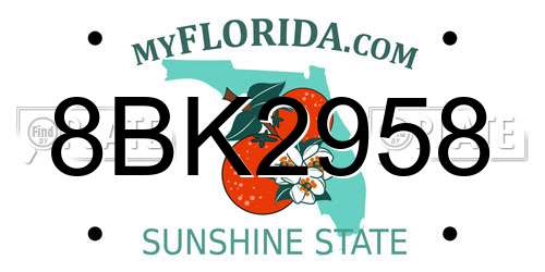 8BK2958 Florida License Plate