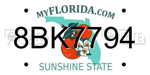 8BK7794 Florida License Plate