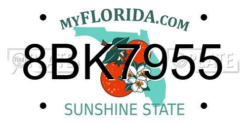 8BK7955 Florida License Plate