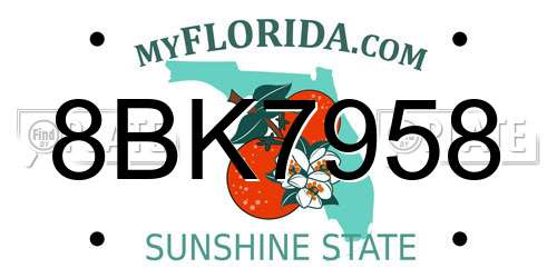 8BK7958 Florida License Plate