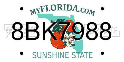 8BK7988 Florida License Plate