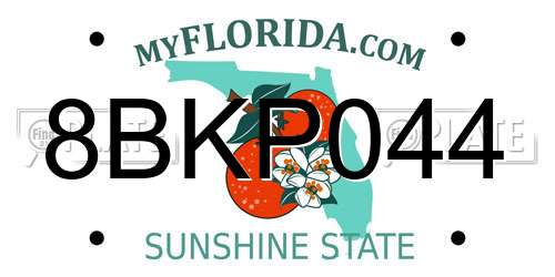 8BKP044 Florida License Plate