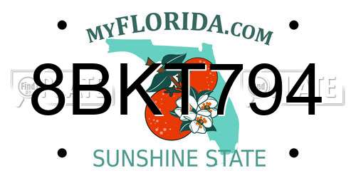 8BKT794 Florida License Plate