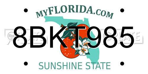 8BKT985 Florida License Plate