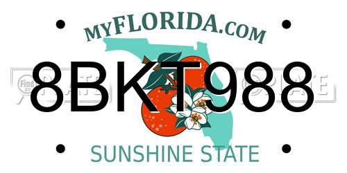 8BKT988 Florida License Plate