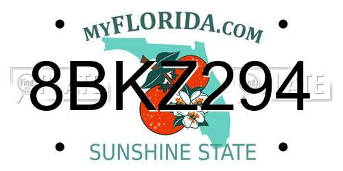 8BKZ294 Florida License Plate
