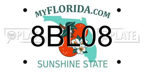 8BL08 Florida License Plate