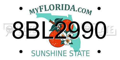 8BL2990 Florida License Plate