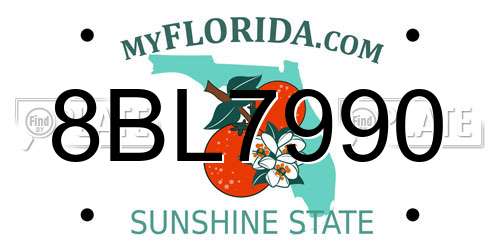 8BL7990 Florida License Plate