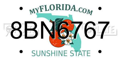 8BN6767 Florida License Plate