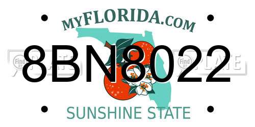 8BN8022 Florida License Plate