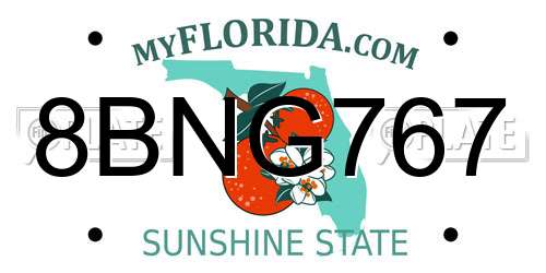 8BNG767 Florida License Plate