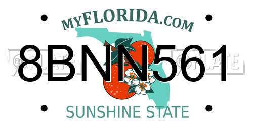 8BNN561 Florida License Plate