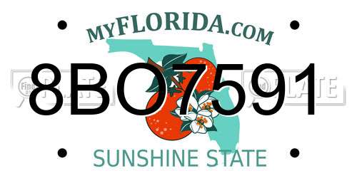 8BO7591 Florida License Plate